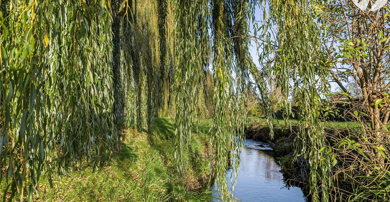 3 bedroom house for sale in Bexley | Robinson Jackson