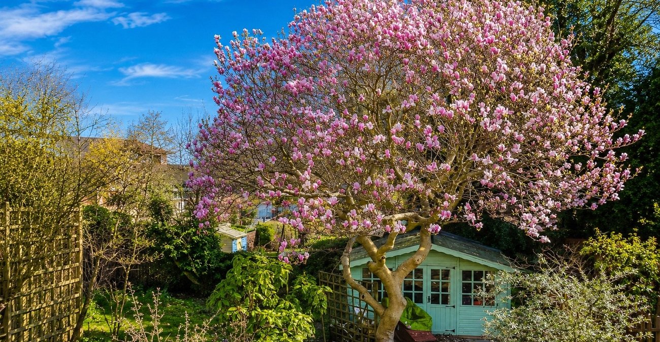 3 bedroom house for sale in London | Robinson Jackson