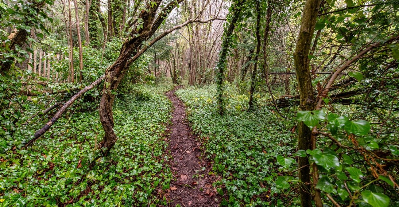 4 bedroom house for sale in Cuxton | Robinson Michael & Jackson