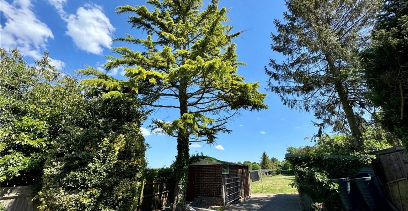 3 bedroom bungalow for sale in Orpington | Robinson Jackson