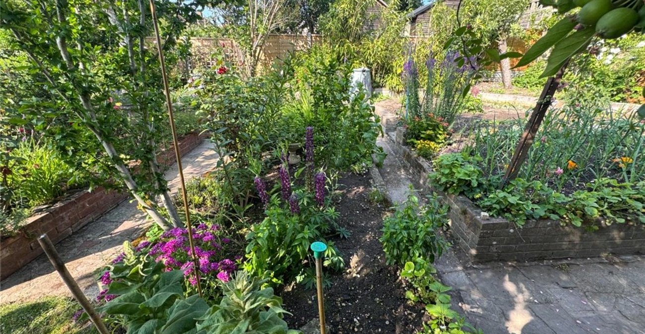 3 bedroom bungalow for sale in South Orpington | Robinson Jackson