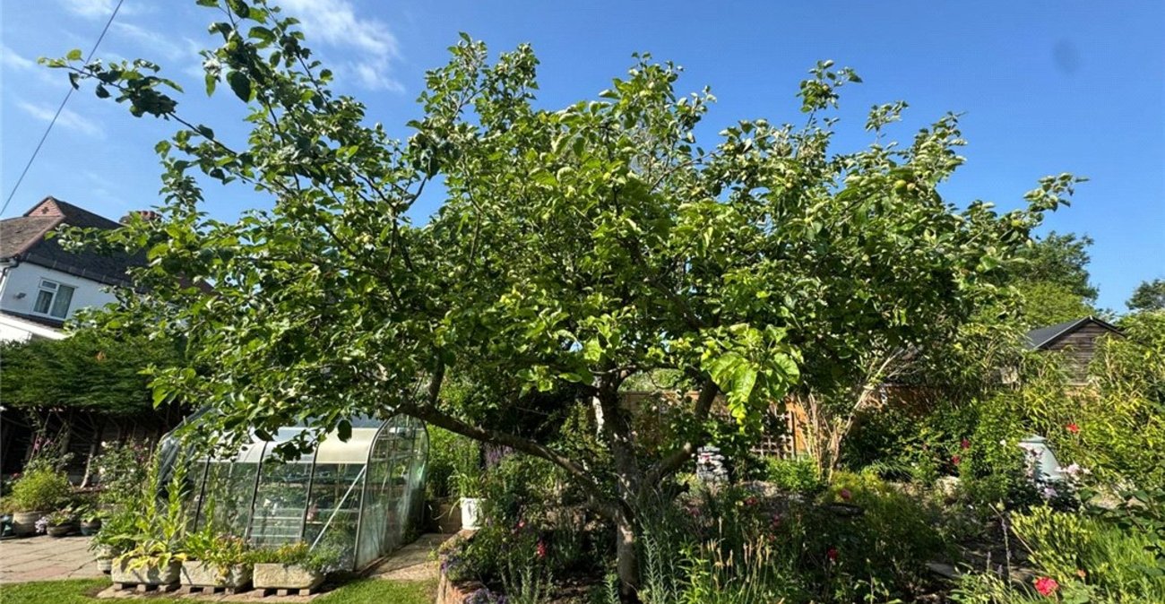 3 bedroom bungalow for sale in South Orpington | Robinson Jackson