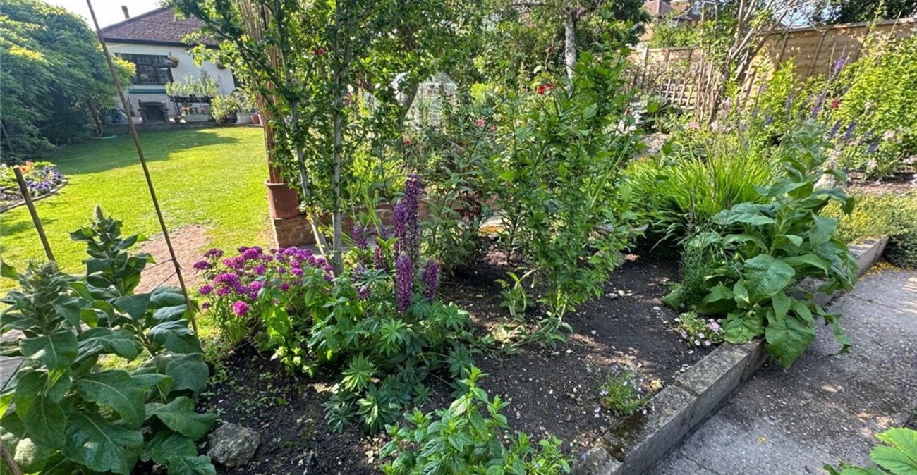 3 bedroom bungalow for sale in South Orpington | Robinson Jackson