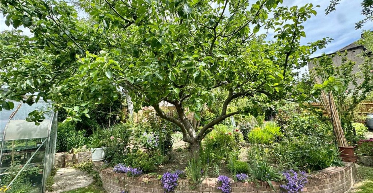 3 bedroom bungalow for sale in South Orpington | Robinson Jackson