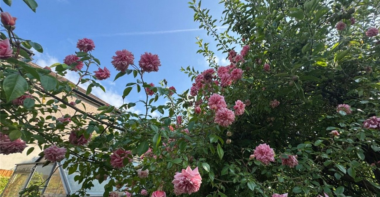 3 bedroom bungalow for sale in South Orpington | Robinson Jackson