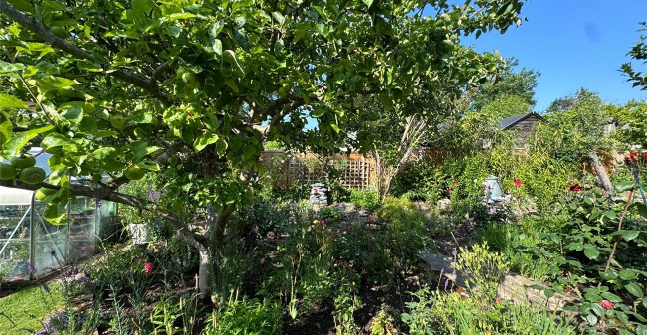 3 bedroom bungalow for sale in South Orpington | Robinson Jackson