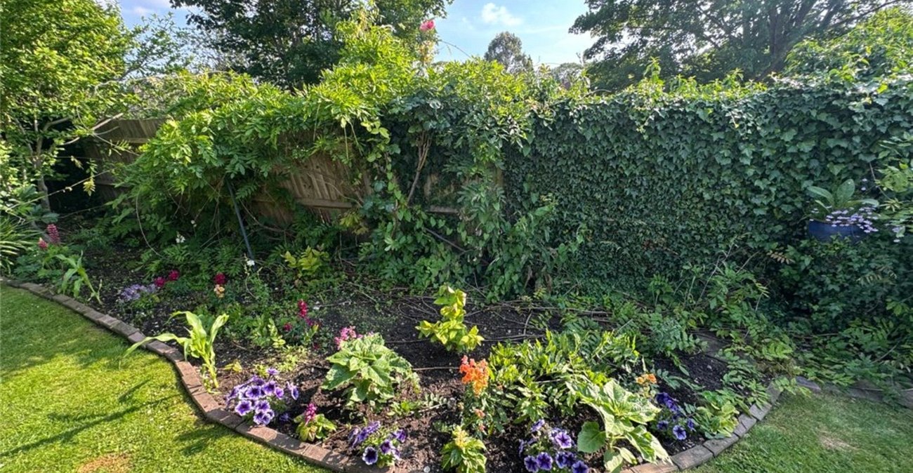 3 bedroom bungalow for sale in South Orpington | Robinson Jackson