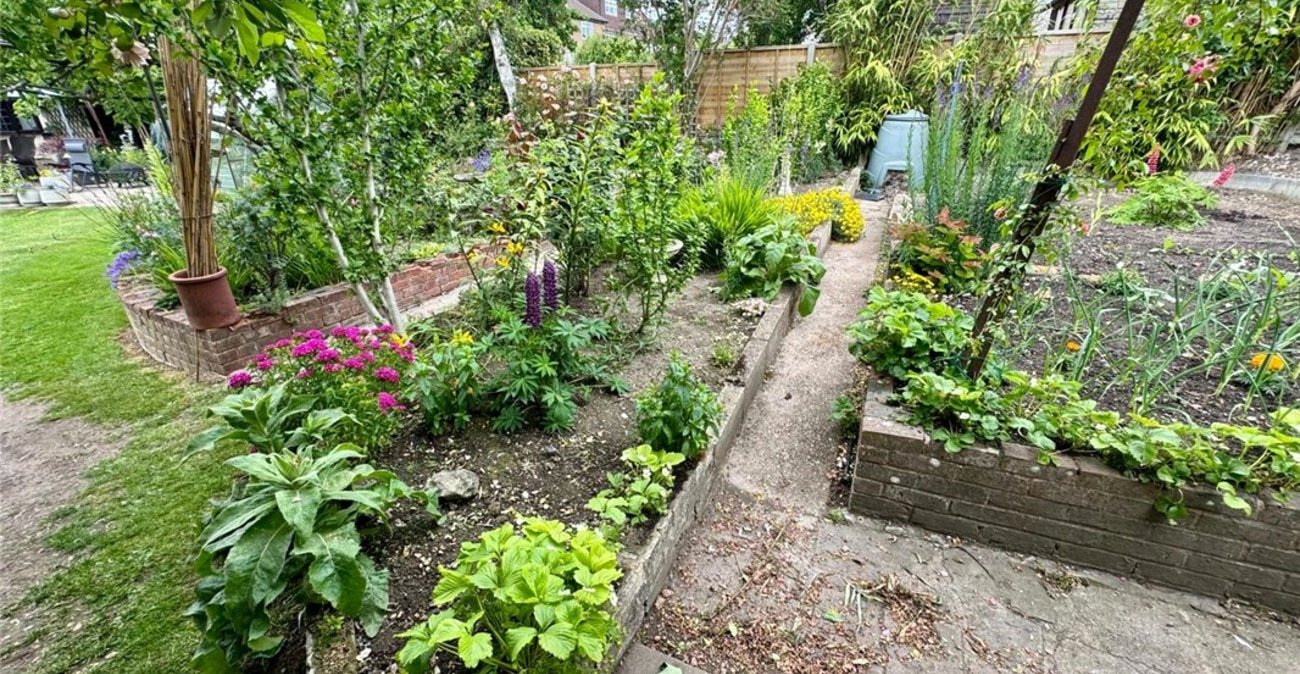 3 bedroom bungalow for sale in South Orpington | Robinson Jackson