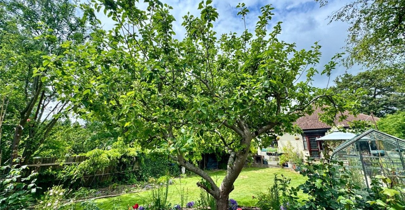 3 bedroom bungalow for sale in South Orpington | Robinson Jackson