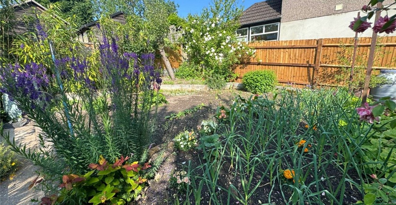 3 bedroom bungalow for sale in South Orpington | Robinson Jackson