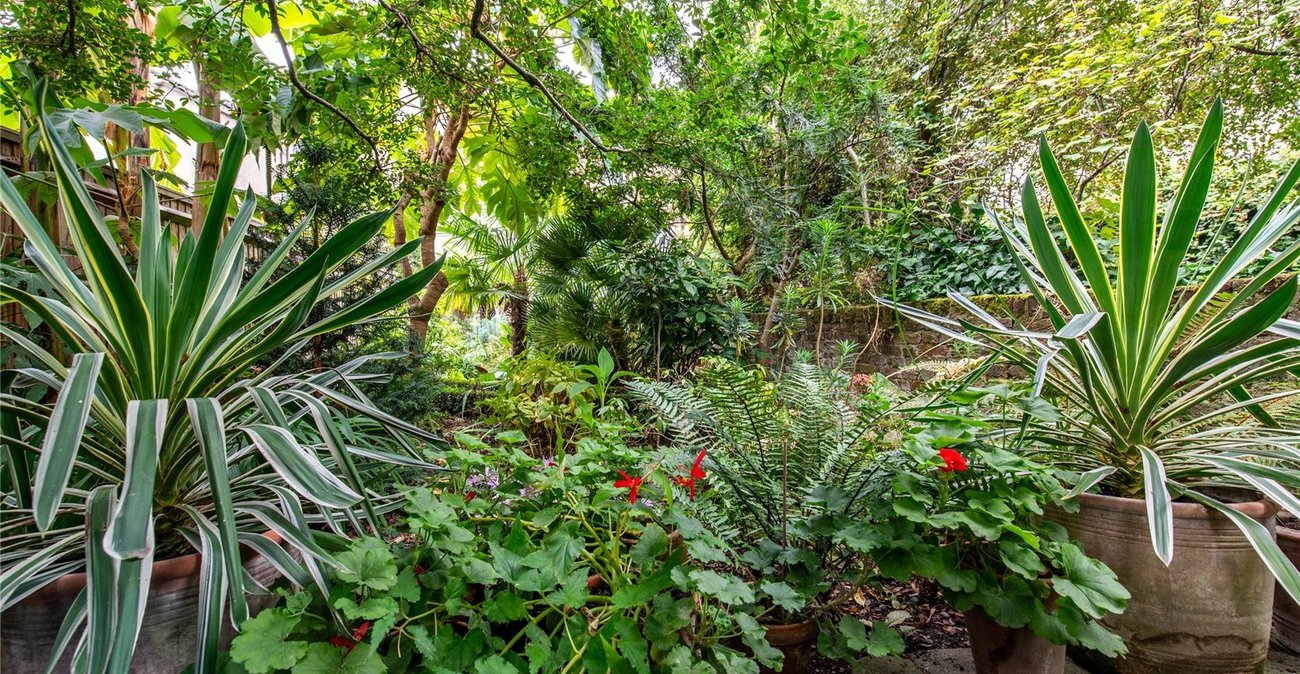 3 bedroom house for sale in Gravesend | Robinson Michael & Jackson