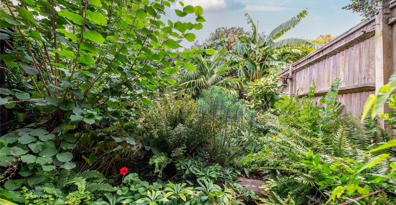 3 bedroom house for sale in Gravesend | Robinson Michael & Jackson