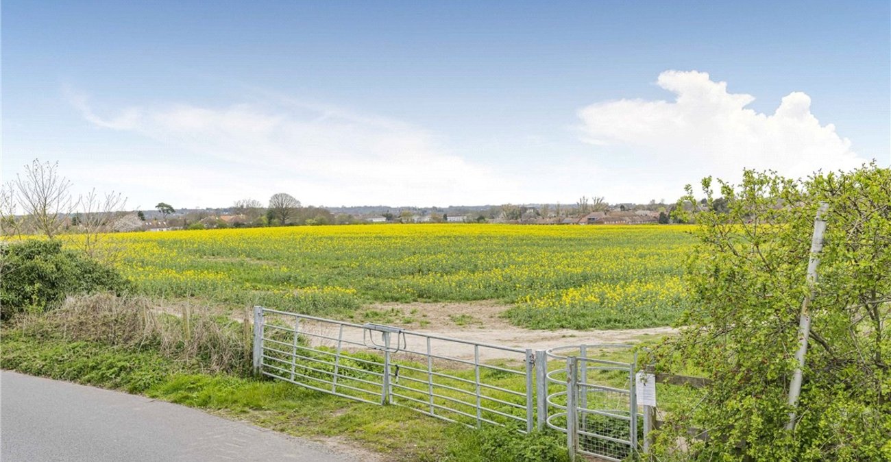 4 bedroom bungalow for sale in Orpington | Robinson Jackson