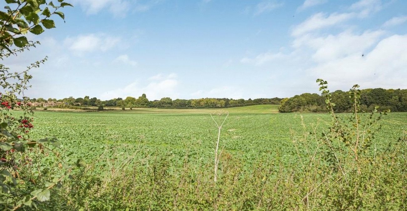 4 bedroom bungalow for sale in Orpington | Robinson Jackson