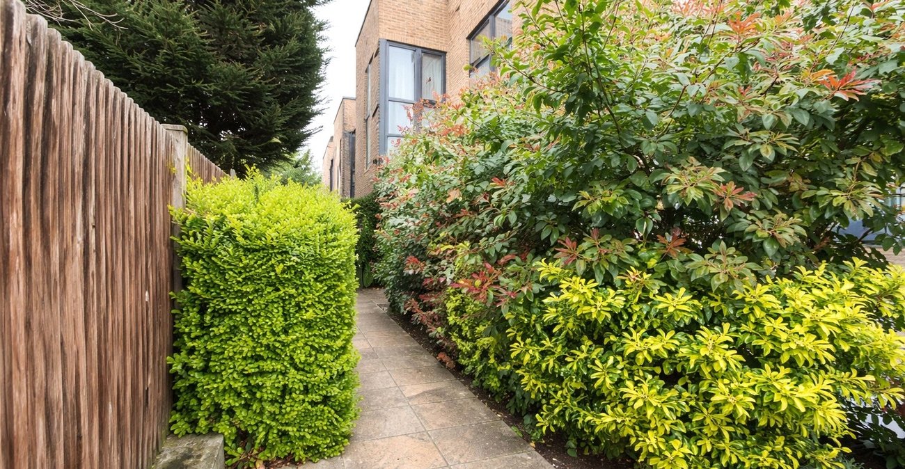 3 bedroom house for sale in London | Robinson Jackson