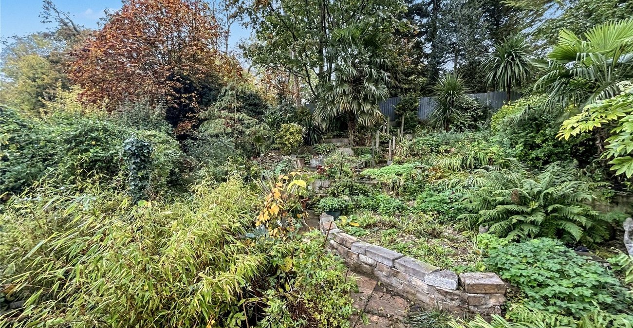 4 bedroom bungalow for sale in Davis Estate | Robinson Michael & Jackson