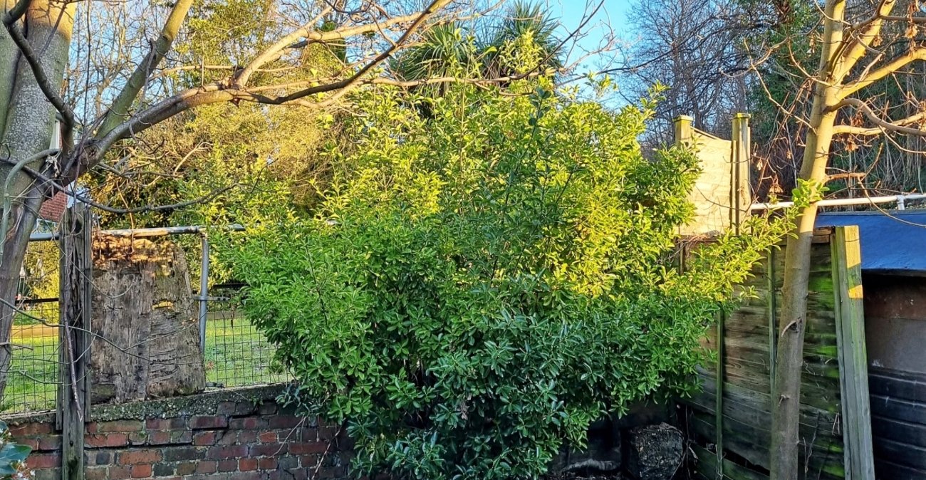 3 bedroom house for sale in Belvedere | Robinson Jackson