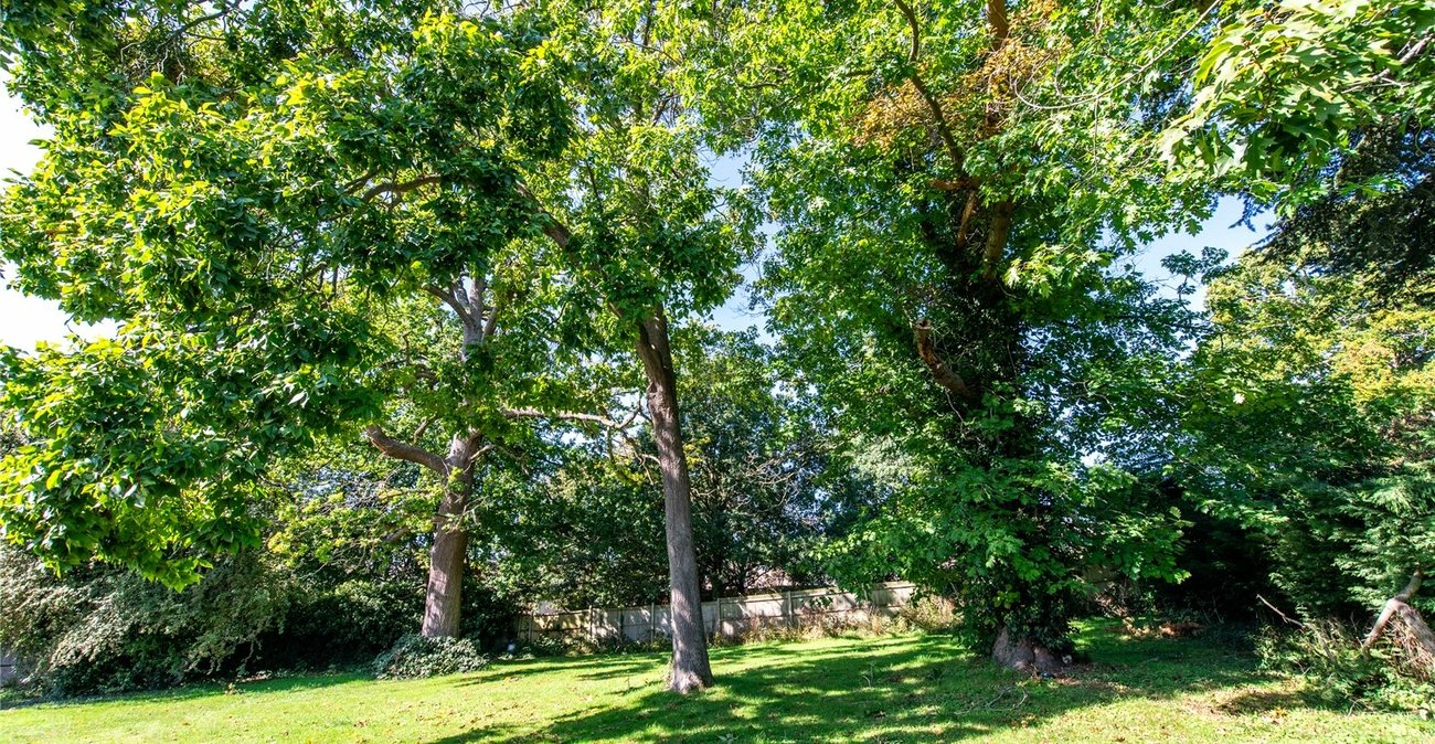 4 bedroom house for sale in Maidstone | Robinson Michael & Jackson