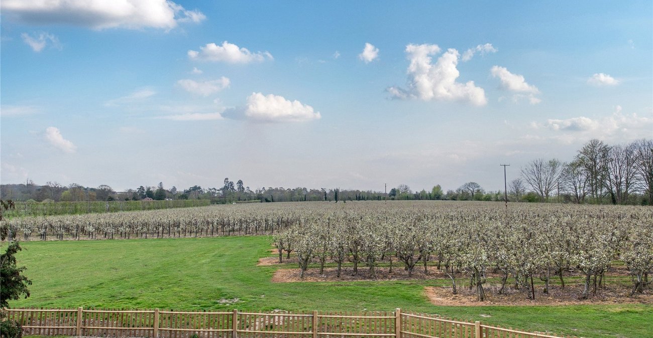 3 bedroom house for sale in Teynham | Robinson Michael & Jackson