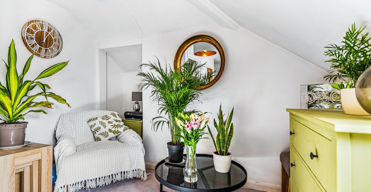 1 bedroom property for sale in  | Robinson Jackson