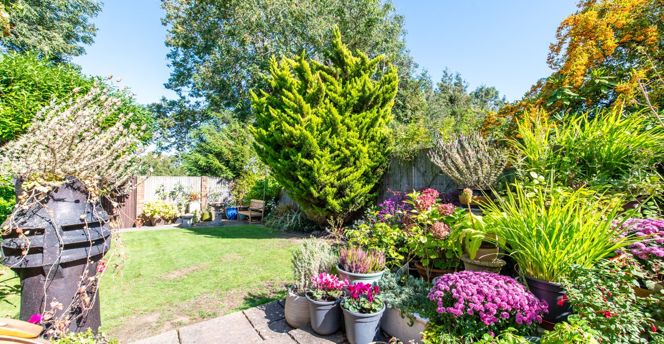 3 bedroom house for sale in Wigmore | Robinson Michael & Jackson