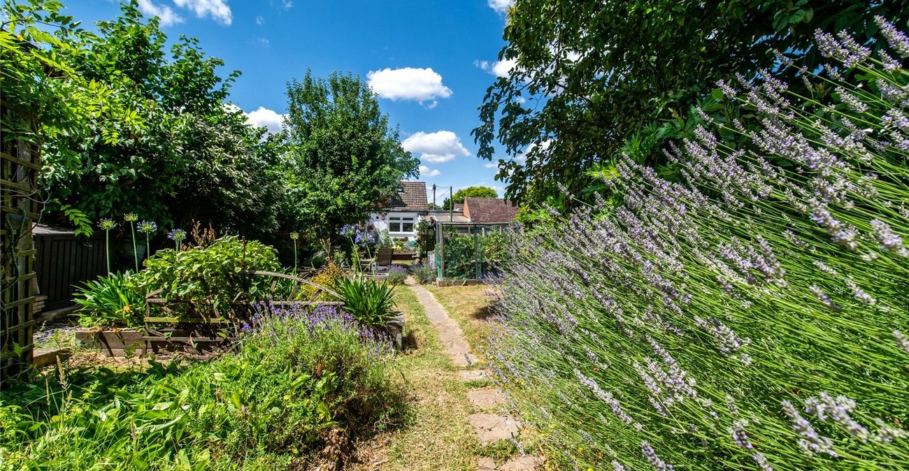 4 bedroom bungalow for sale in Wigmore | Robinson Michael & Jackson