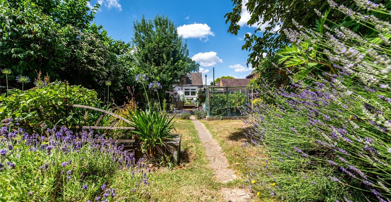 4 bedroom bungalow for sale in Wigmore | Robinson Michael & Jackson