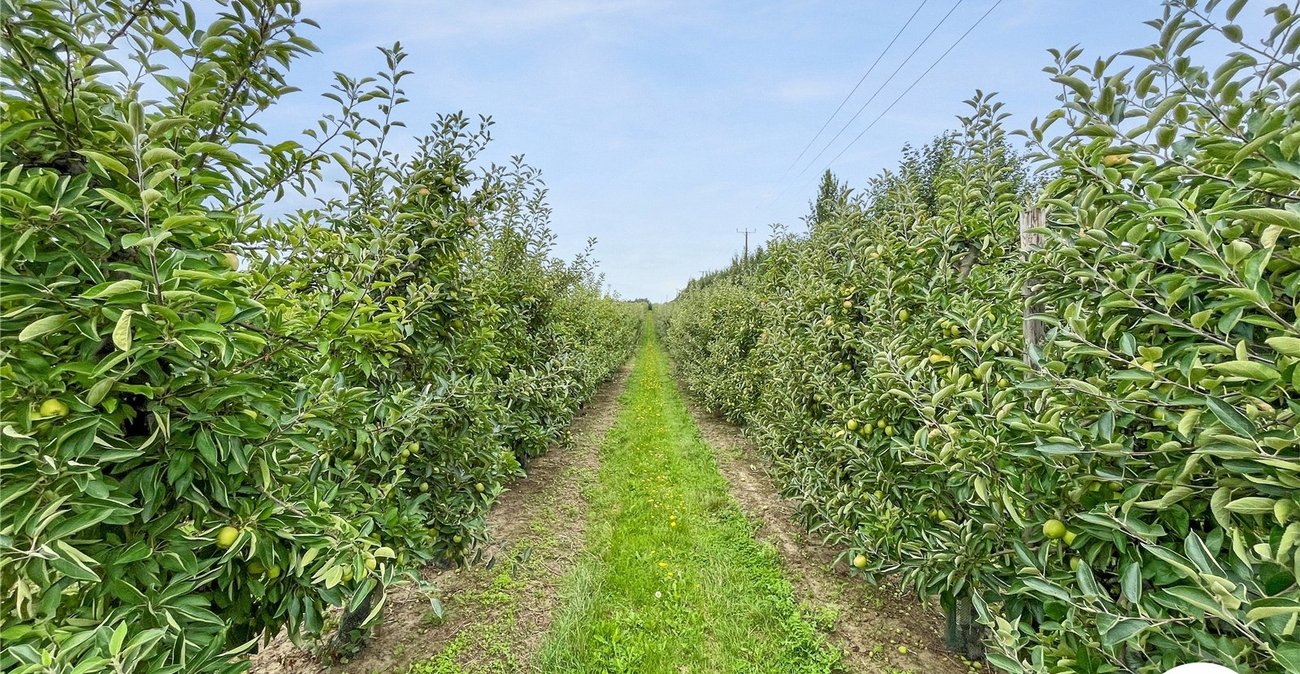 3 bedroom house for sale in Newington | Robinson Michael & Jackson