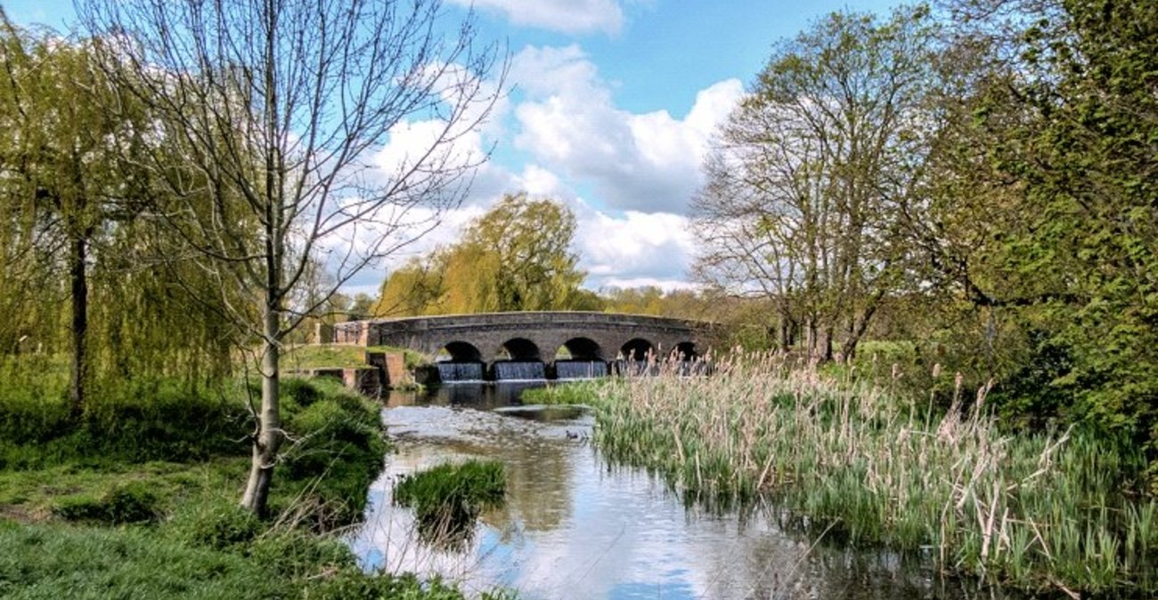 3 bedroom bungalow for sale in Sidcup | Robinson Jackson