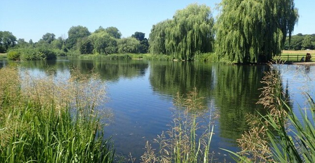 3 bedroom bungalow for sale in Sidcup | Robinson Jackson