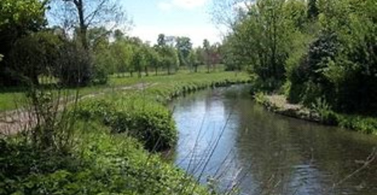 3 bedroom bungalow for sale in Sidcup | Robinson Jackson