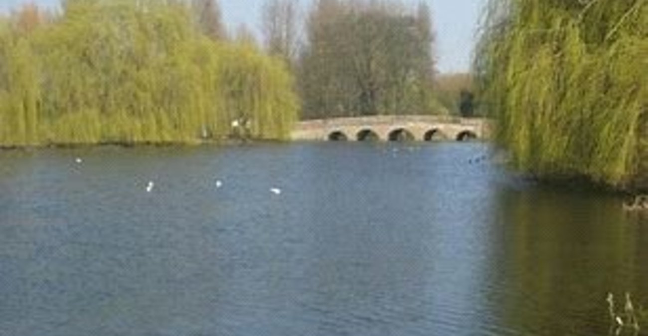 3 bedroom bungalow for sale in Sidcup | Robinson Jackson