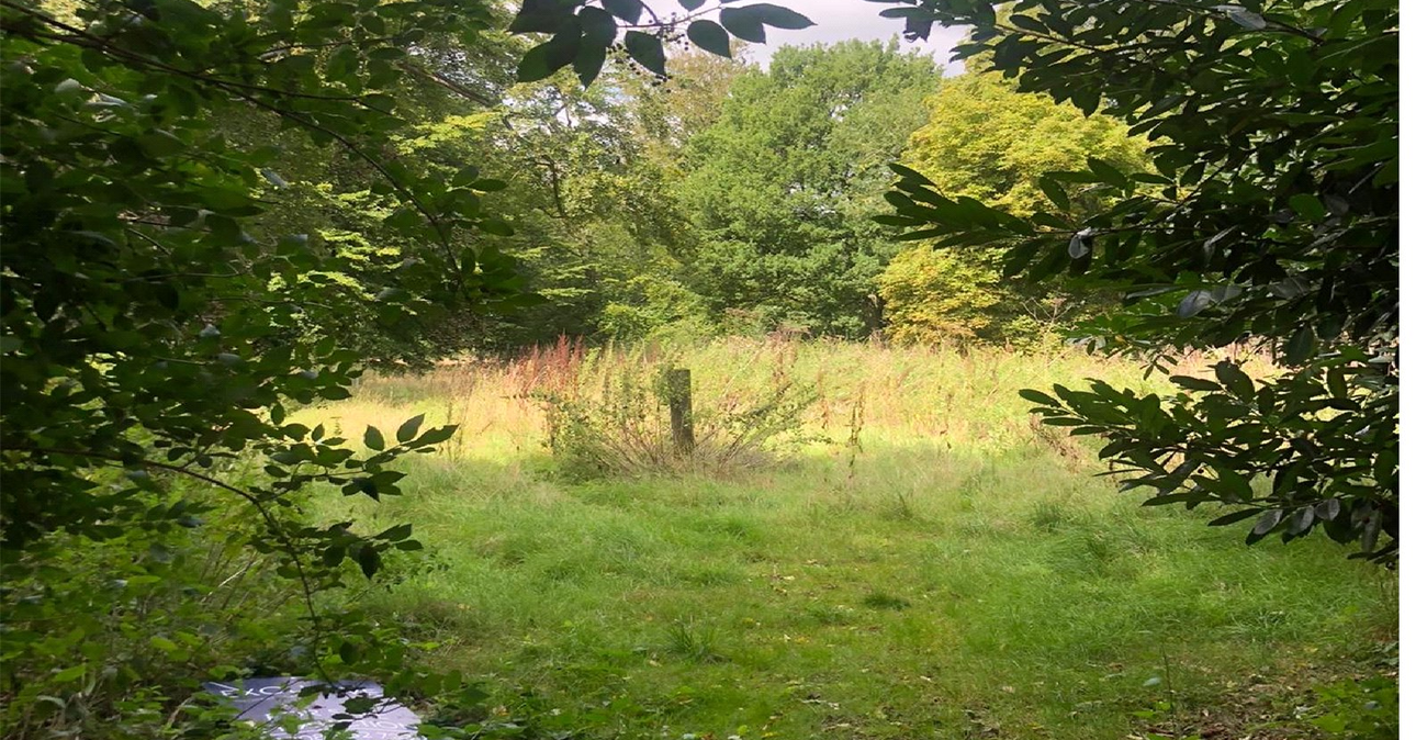 property for sale in West Kingsdown | Robinson Michael & Jackson