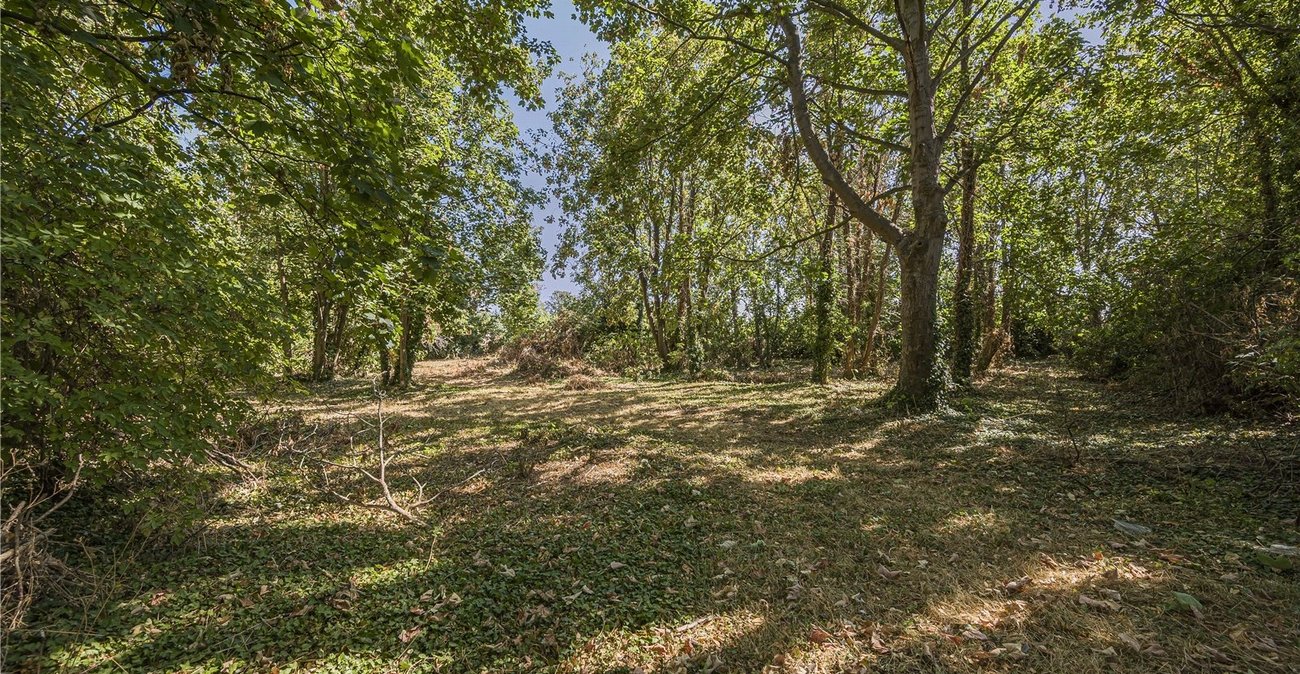 property for sale in Wilmington | Robinson Jackson
