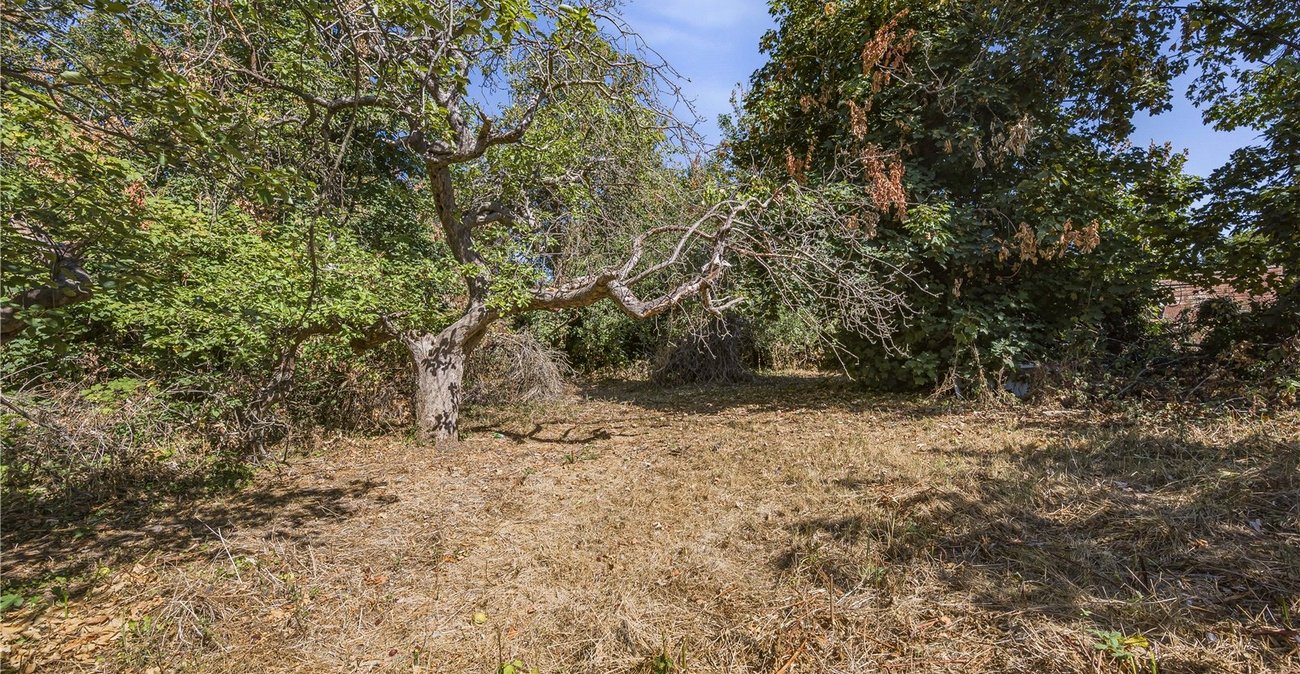 property for sale in Wilmington | Robinson Jackson