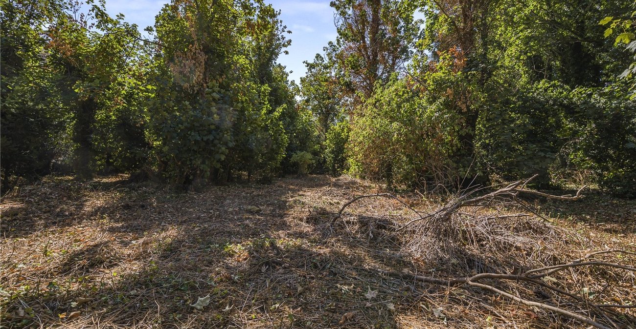 property for sale in Wilmington | Robinson Jackson