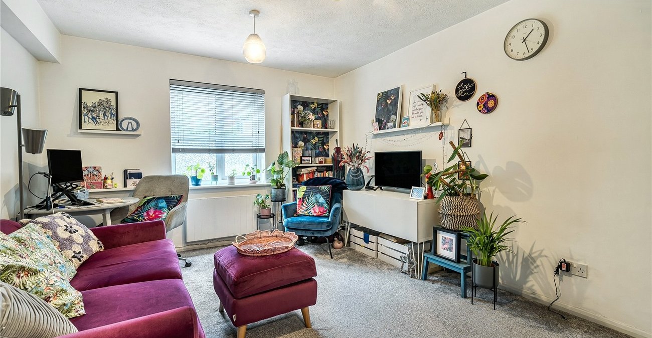 1 bedroom property to rent in  | Robinson Jackson