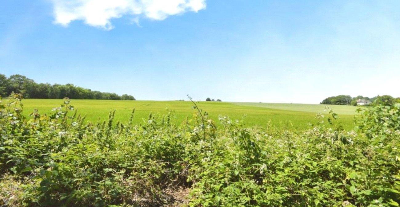 2 bedroom bungalow for sale in Vicarage Lane | Robinson Michael & Jackson