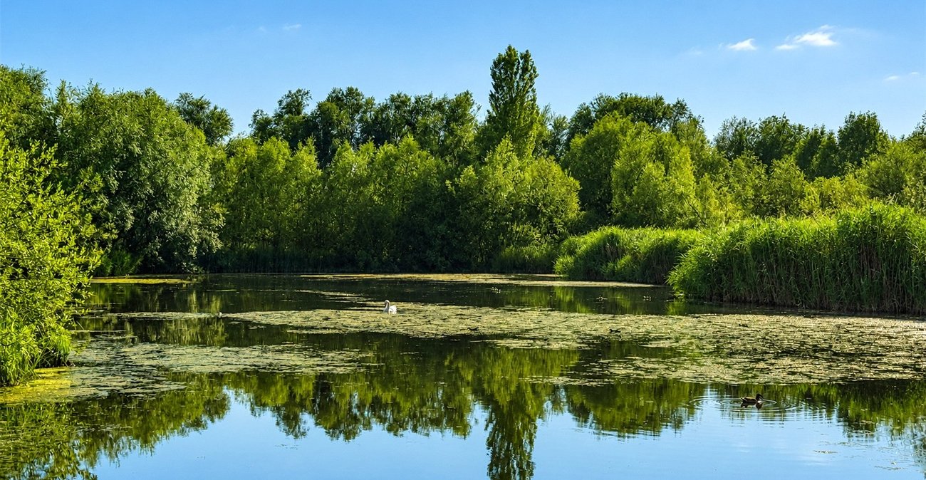1 bedroom property for sale in London | Robinson Jackson