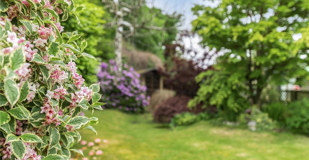 4 bedroom house for sale in Bexley | Robinson Jackson