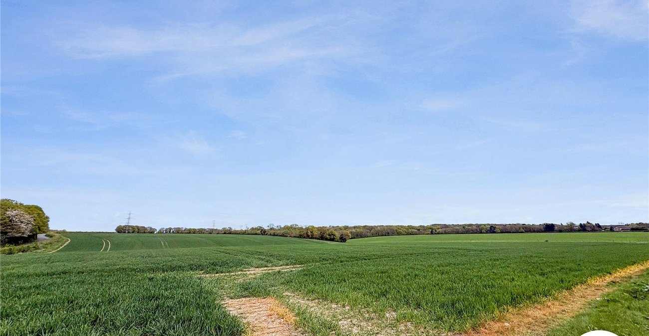 3 bedroom house to rent in Boxley | Robinson Michael & Jackson