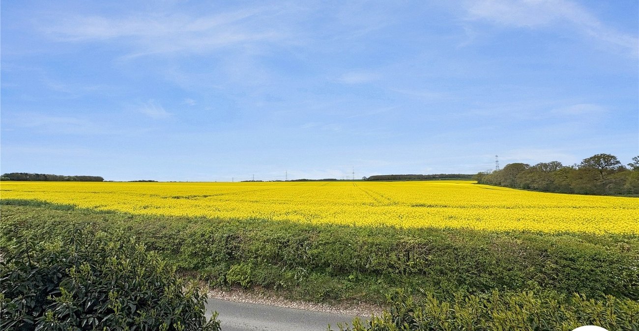 3 bedroom house to rent in Boxley | Robinson Michael & Jackson