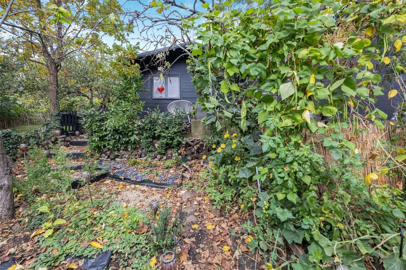 3 bedroom house for sale in Orpington | Robinson Jackson