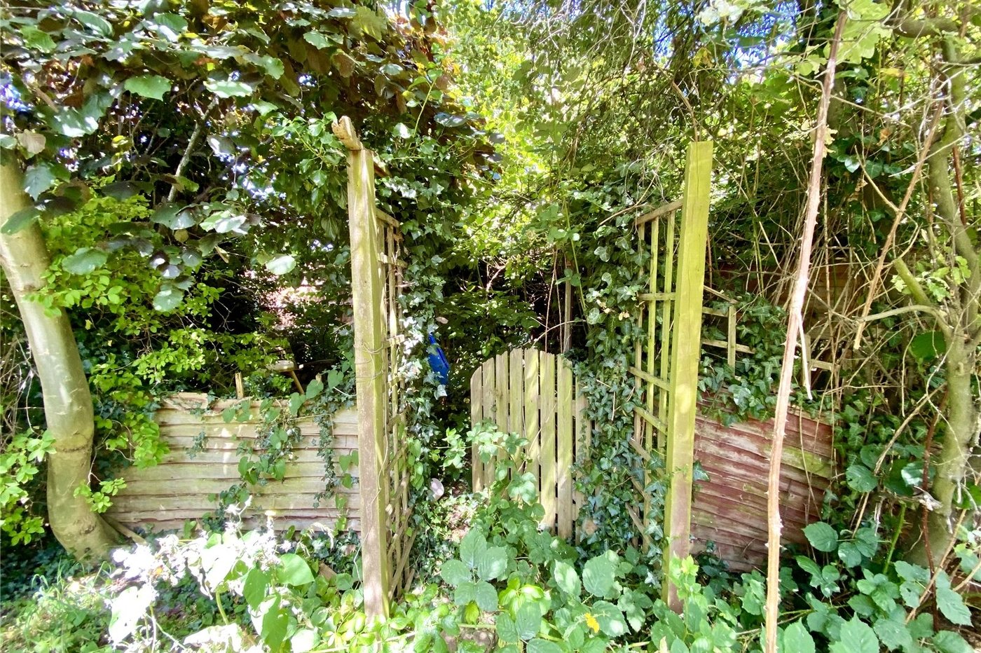 3 bedroom house for sale in Sidcup | Robinson Jackson