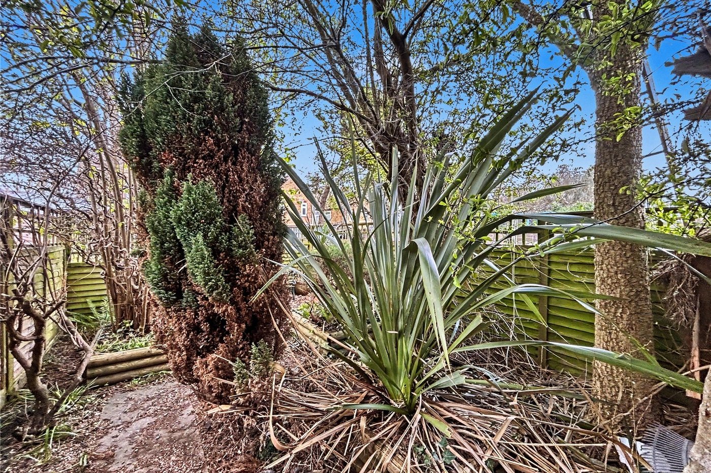 2 bedroom house for sale in Gillingham | Robinson Michael & Jackson