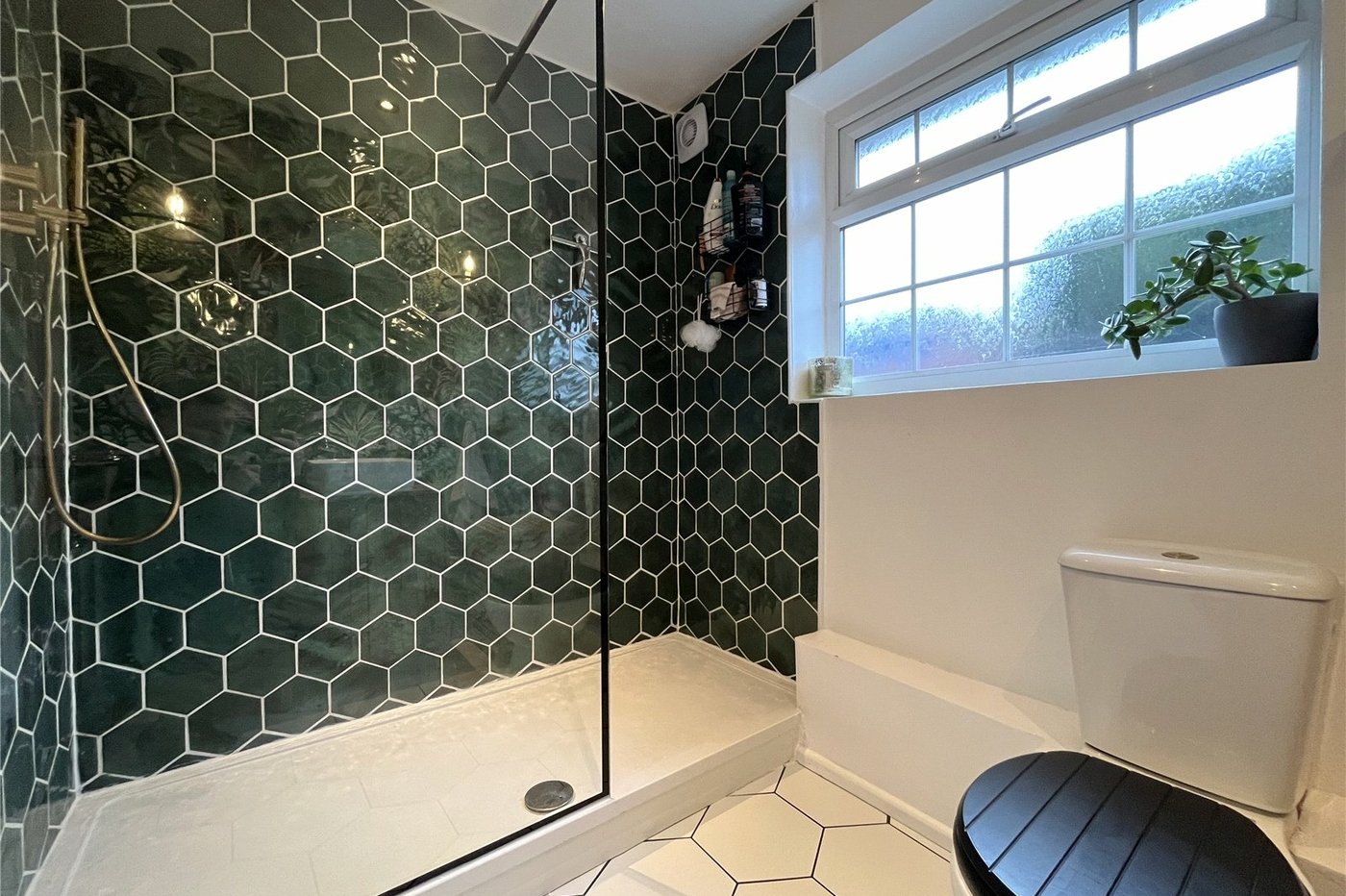 3 bedroom house to rent in Princes Park | Robinson Michael & Jackson