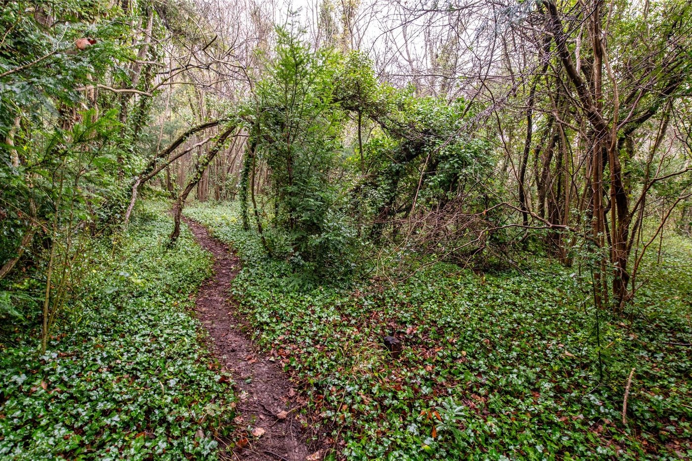 4 bedroom house for sale in Cuxton | Robinson Michael & Jackson