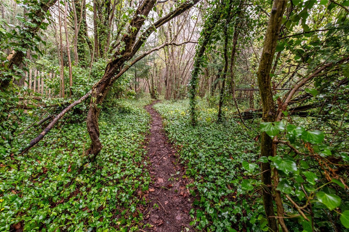 4 bedroom house for sale in Cuxton | Robinson Michael & Jackson