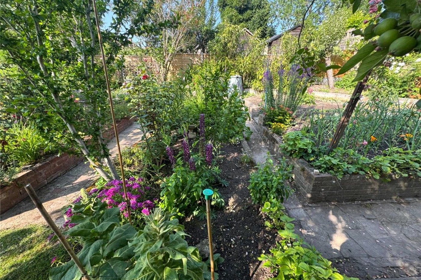 3 bedroom bungalow for sale in South Orpington | Robinson Jackson