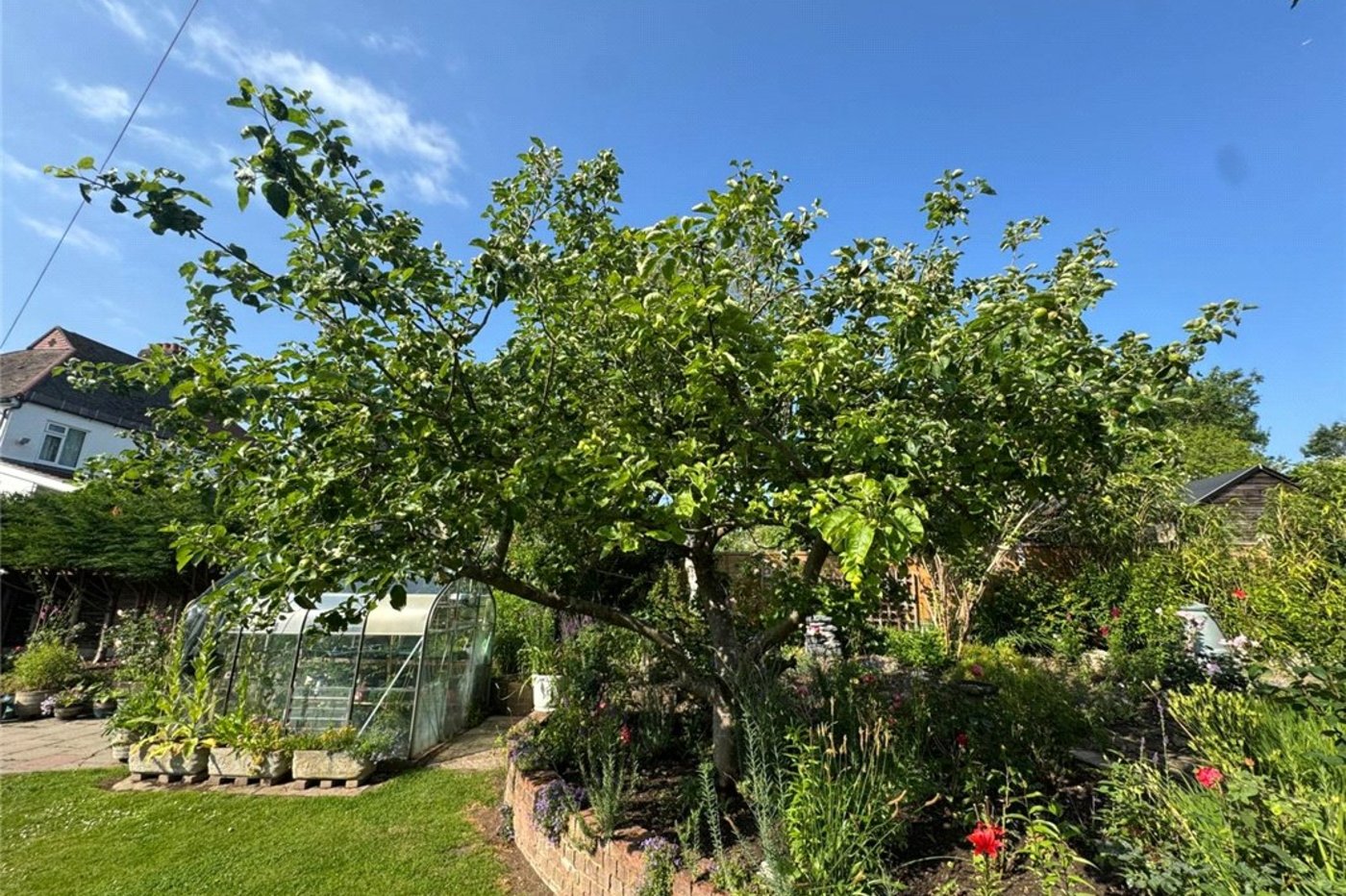 3 bedroom bungalow for sale in South Orpington | Robinson Jackson